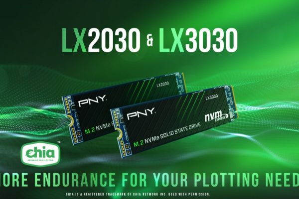 PNY LX2030